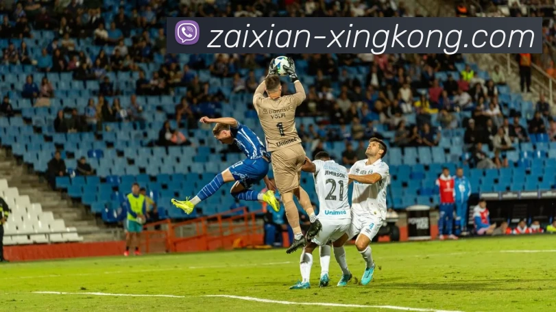 多媒体互动体验